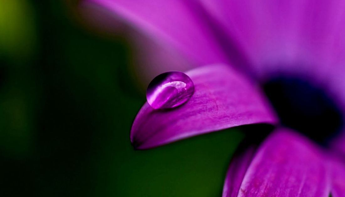 الشباب... كندى الصباح على أوراق الحياة، يصارعون من أجل البقاء.