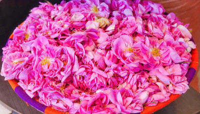 تأخير قضاء الصوم ج (2)