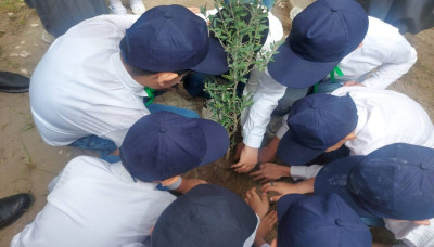 Imam Hussain Holy Shrine Begins Tree-Planting Campaign in Karbala