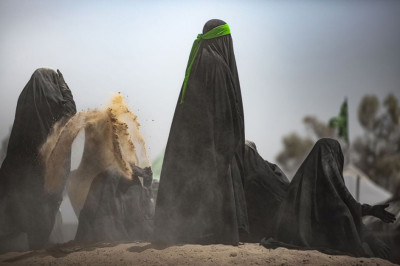 نبات الآس ... الشاهد الأخضر على مشاعر لا تذبل