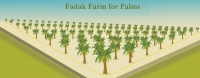 Infographic: Fadak Farm for Palms