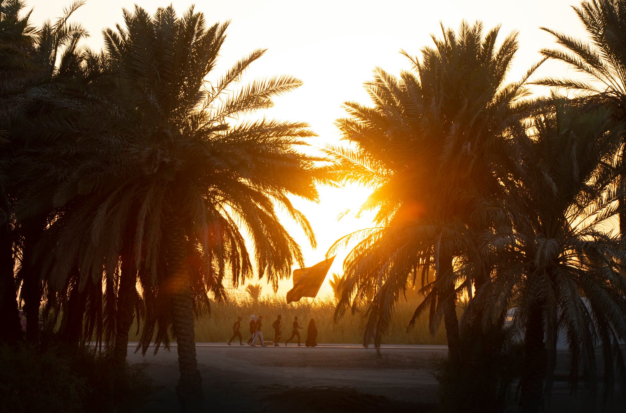 الشعر